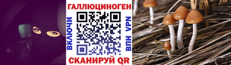 закладки  Узловая  Псилоцибиновые грибы мухоморы 